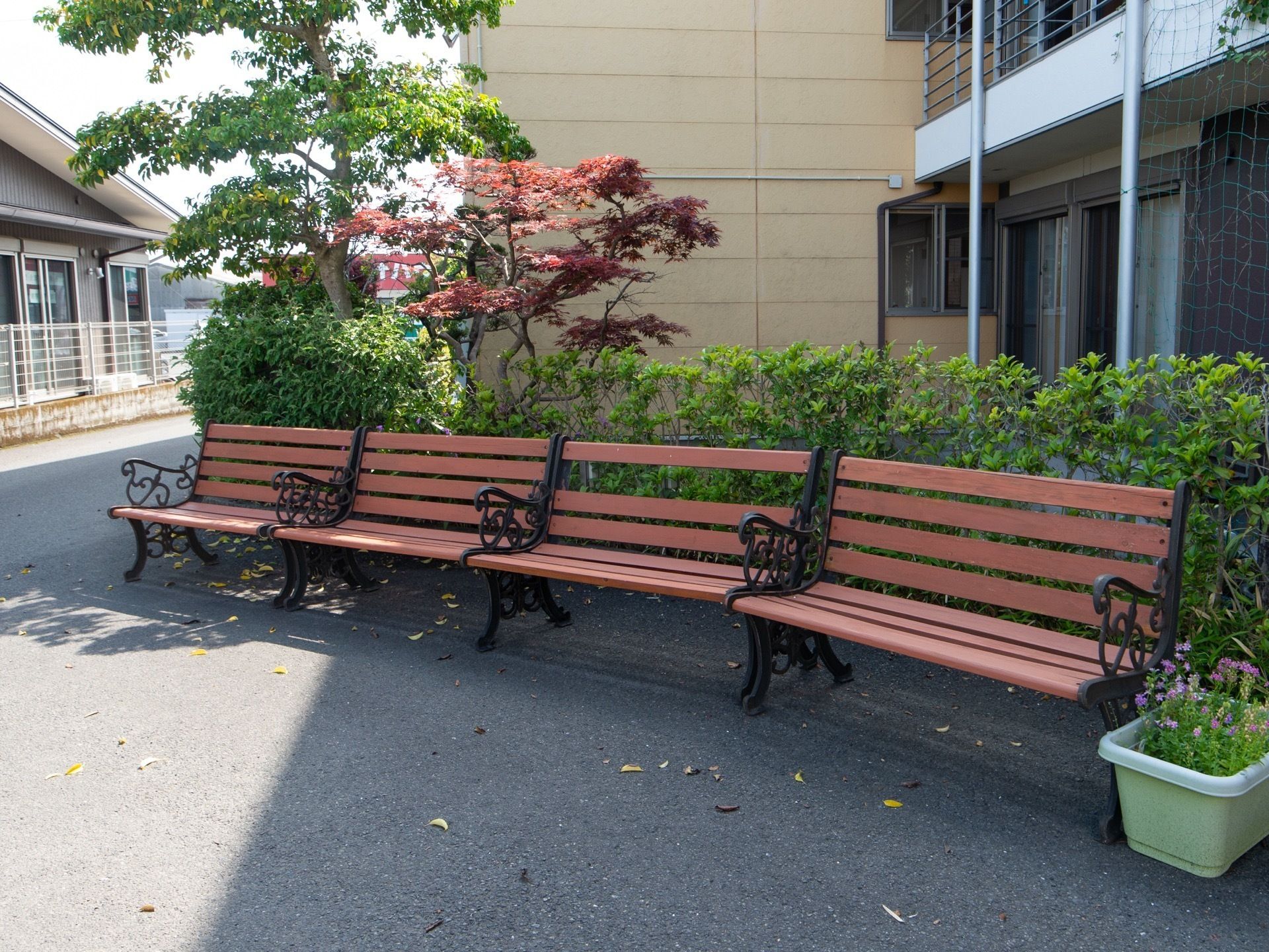 木製のベンチが４脚並んで置かれている。地面はコンクリートで舗装されており、後ろには花壇が広がっている。