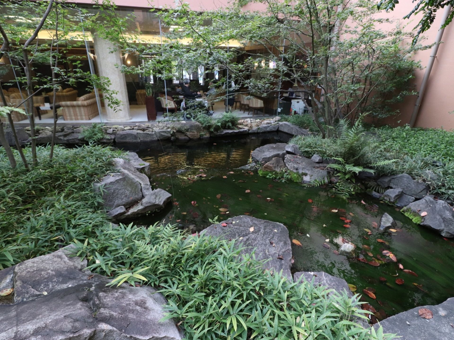 施設に造られた中庭。池があり水が張られている。沢山の木々が植えられ、紅葉した落ち葉が水面に浮かんでいる。