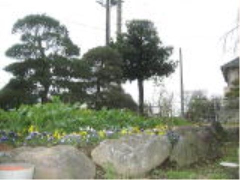 施設内には庭園も造られている。季節ごとにたくさんの花が咲き、色鮮やかな景色は入居者様を楽しませてくれる。