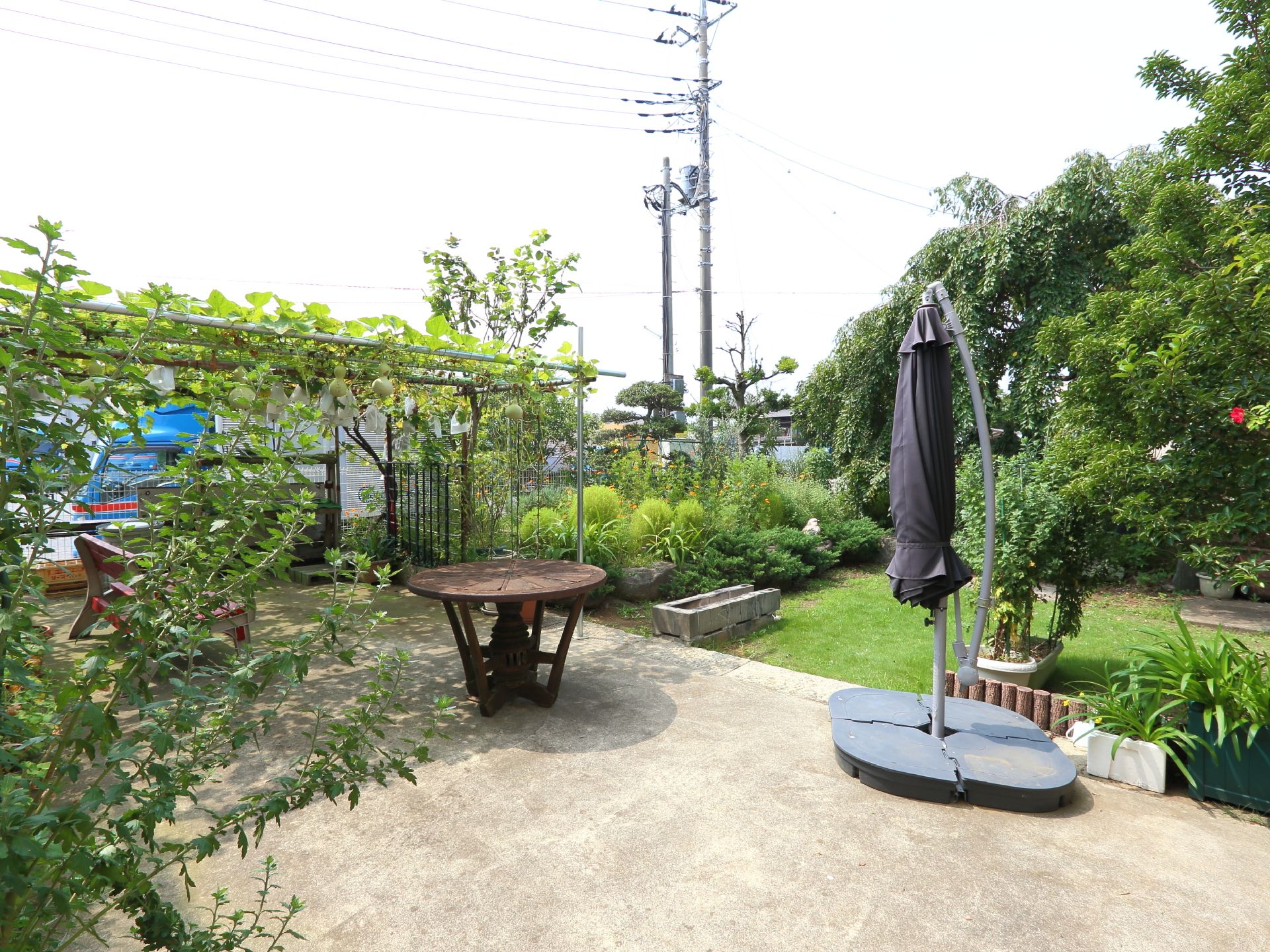 庭園には、ベンチや木のテーブル、パラソル、藤棚が完備されている。手入れの行き届いたグリーンを眺めながら散歩や休憩ができる。