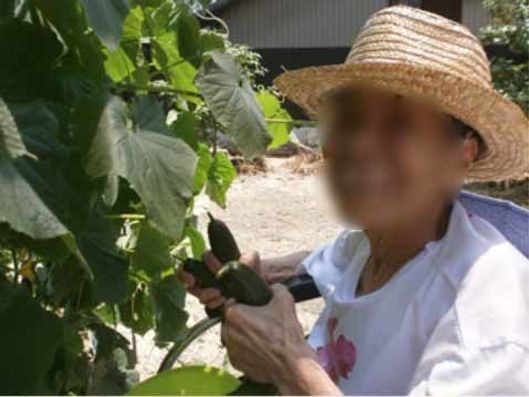 レクリエーション