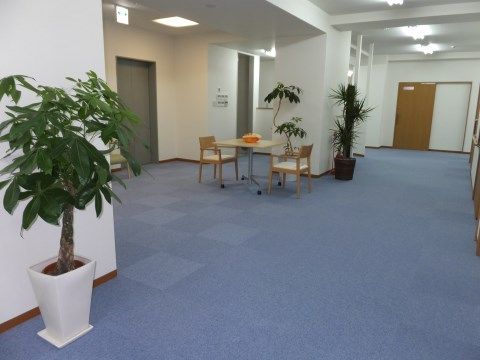「翔月庵 神戸大開」のリビング。フロアに青色のカーペットを敷き、観葉植物を適度な距離に設置している。