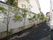 施設の館外。施設の外には植物を観てとることができます。