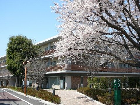 「ゆうらいふ世田谷」中庭。春になると、満開の桜で景色は絶景になります。