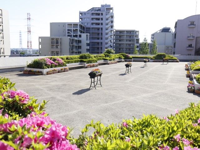 「ゆうらいふ横浜」の屋上。自然の変化満喫。
