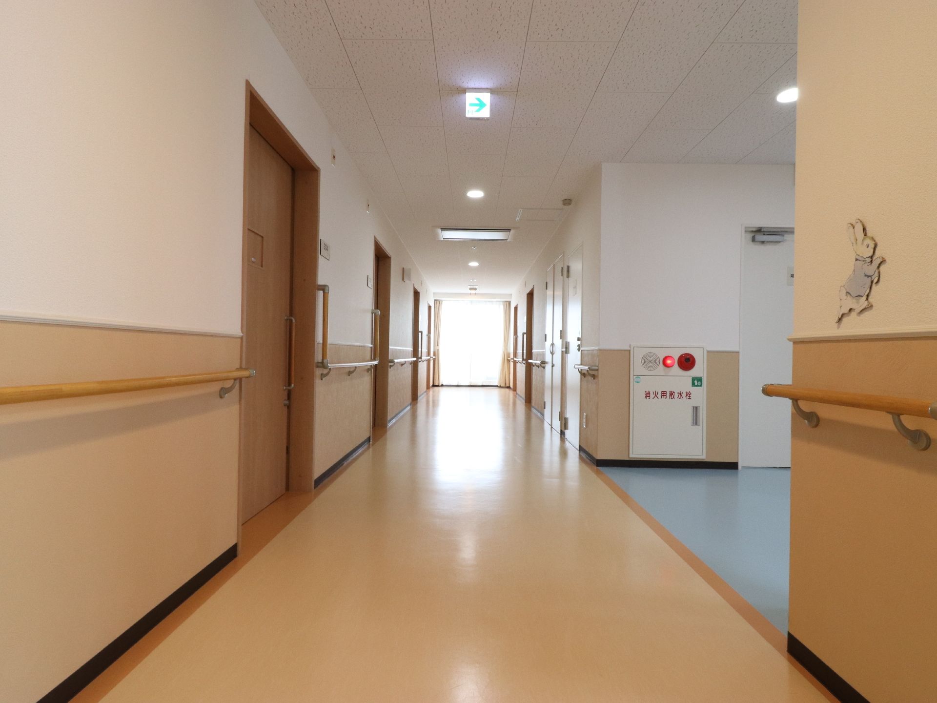 廊下は明るく広々としており、清潔に保たれている。壁沿いには連続して手すりが設置されているので、安心して移動できる。