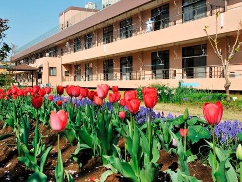 富士白苑大磯コーポの外観。大きな敷地を誇る当施設は庭での緑を日々気持ちよく感じる事ができます。