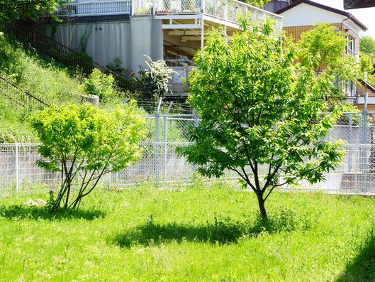 自然に触れながらの暮らしが望めます