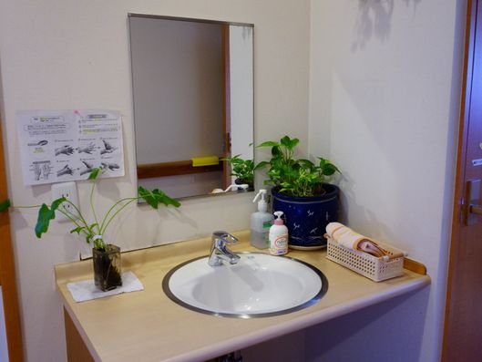 清潔感溢れる洗面台