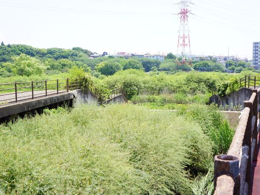 自然豊かな遊歩道