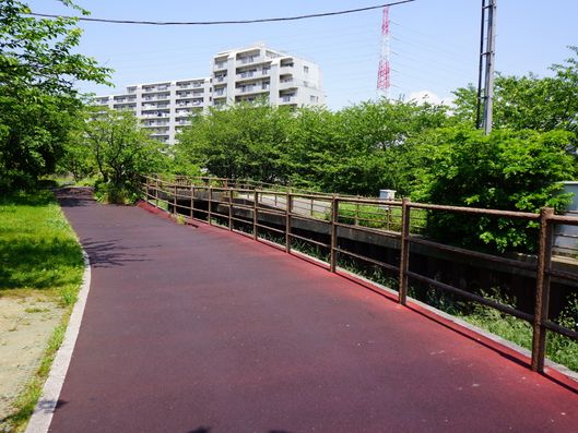 散歩を楽しめる遊歩道