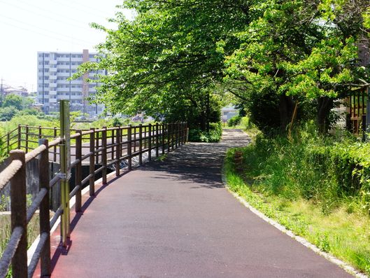 リハビリ効果にもなる散歩コース