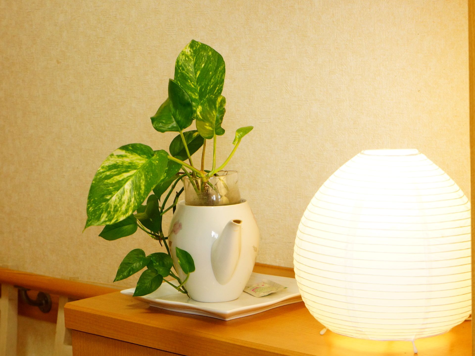 エントランスの棚に置かれている陶器製の花瓶と提灯風の照明。この一角は和風のデザインを取り入れている事が分かる。