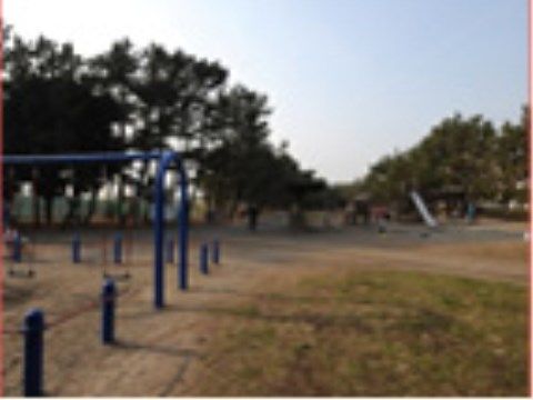 施設近郊にある公園は、緑豊かで広々としている。海の近くの風を感じながら、のんびりと豊かな時間を過ごせる。