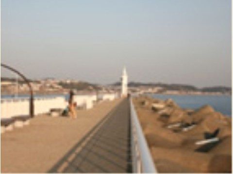 観光地としても有名な海が徒歩圏内にあるため、夏場は花火大会を施設の4階から楽しんでいただくこともできる。