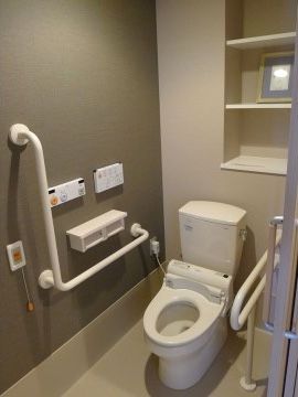 「アイケアおおるり新貝」のトイレ。渋めの色で統一されたトイレは、落ち着きやすく介助器具も設置されている。