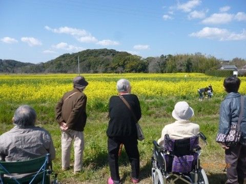 「アイケアおおるり新貝」の外出レクリエーション。菜の花畑で観賞しながら、心休まるひと時を得ている。
