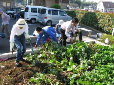 「ソルシアス佐倉」の家庭菜園。取れたての野菜は、入居者様のお食事に出ており、新鮮な食材の味を楽しめる。