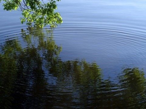 「桃の郷 竜王 別館3番館」の外観。自然環境に囲まれており、新鮮な澄んだ空気を吸える。