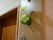 ドアの横の壁に付けられた長い板。上部分には円形の穴があり、造花がある。下にはフックがあり、飾りが下げられている。