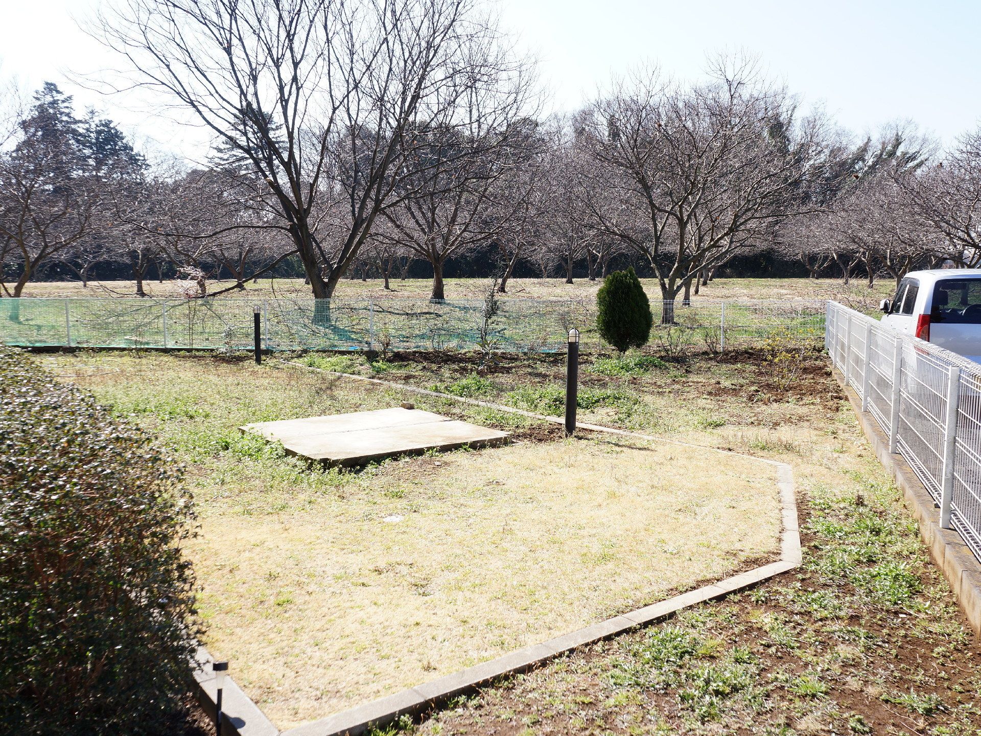 建物の敷地内には庭が設けられている。花は植えられておらず、芝生になっている。隣にはフェンスで囲われている駐車場がある。