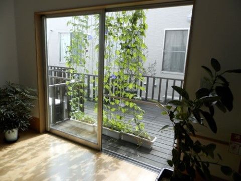 「シルバーホームこむぎ」のウッドデッキ。自然を利用したカーテンで、植物を育てたり温度低下に貢献している。