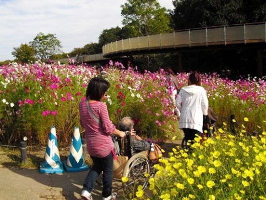 レクリエーション