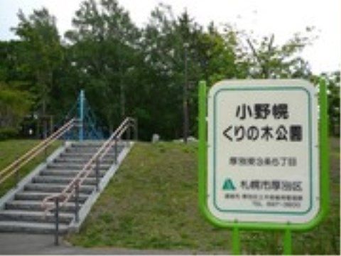 「ニチイケアセンター厚別」の周辺環境。地域住民の方が愛用している公園が身近にある。