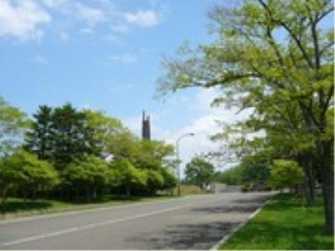「ニチイケアセンター厚別」の周辺環境。公共の公園が数多いので、自然豊かな環境と触れ合える。