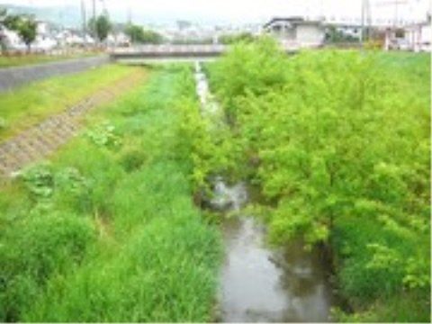 ニチイケアセンター東三輪の周辺環境。緑を感じる環境がございます。お散歩にご利用ください。