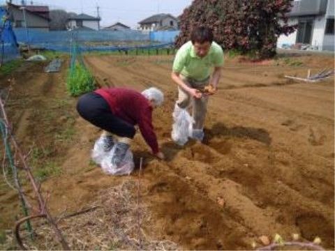 ニチイケアセンター内野本郷の種芋植え。自然に触れ合う、土いじりのレクリエーションもございます。