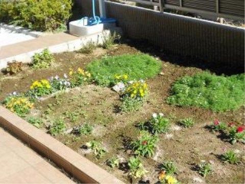 ニチイケアセンター越谷の菜園。日々のレクリエーションには、土いじりなど、自然と触れ合うものもございます。