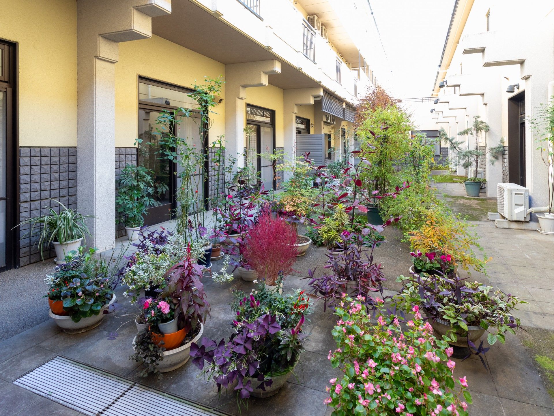 色とりどりの植物が並ぶ通路