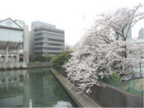 ニチイケアセンター千葉中央の周辺環境。一年の四季を感じながら毎日をお過ごしいただけます。春にはお花見をお楽しみください。