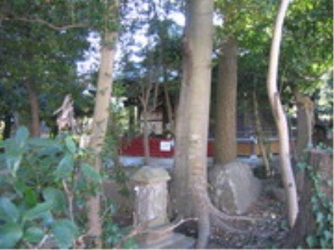 「ニチイケアセンター流山」の周辺環境。緑が豊かな神社に寄り、神様にお願い事をする。