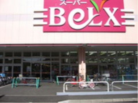 「ニチイケアセンター流山」の周辺環境。日常品や食品が揃ったスーパーも施設から近くて便利である。