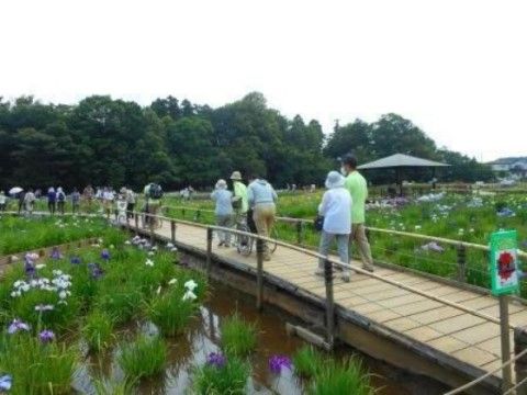 「ニチイケアセンター東村山野口町」の外出イベント。外出イベントを多く行い、入居者様の認知症予防にも繋がっている。