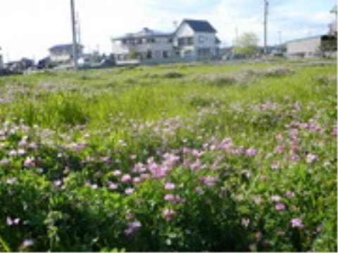 ニチイケアセンター茜部の周辺環境。ゆっくり流れる時間を楽しみ、味わえる環境がございます。