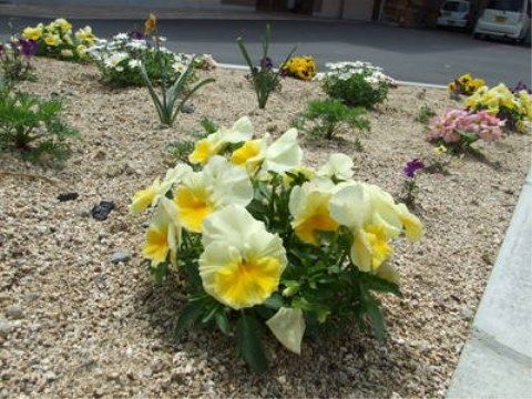 駐車スペースのそばに完備された黄色い季節の花などが植えられた花壇