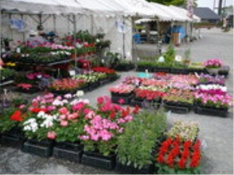ニチイケアセンター仙台若林の園芸センター。レクリエーションにて日々おこなっている園芸用品の買い出しをこちらでしております。