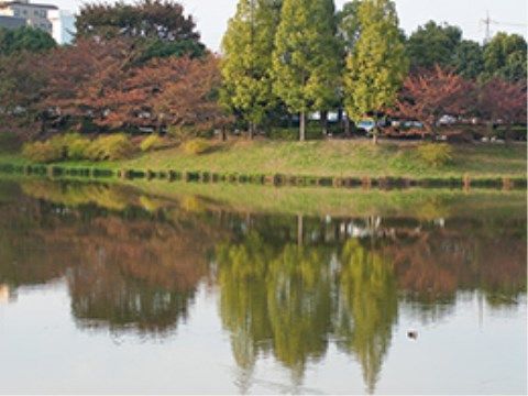 「住宅型有料老人ホーム トラストリー長久手」の周辺環境。水面に映る景色が、綺麗な自然環境を露わにしている。。