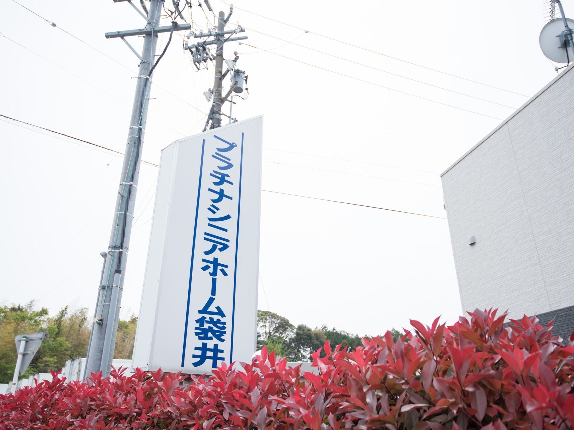 植え込みの向こうにホームの看板が建っている。白地に青い文字で読みやすい。周囲には建物がなく開けている。