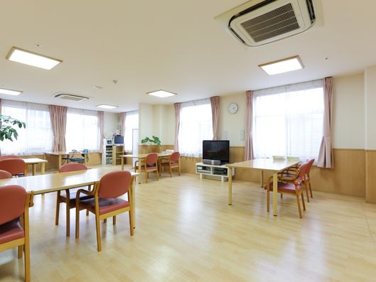 自然の光で明るい食堂