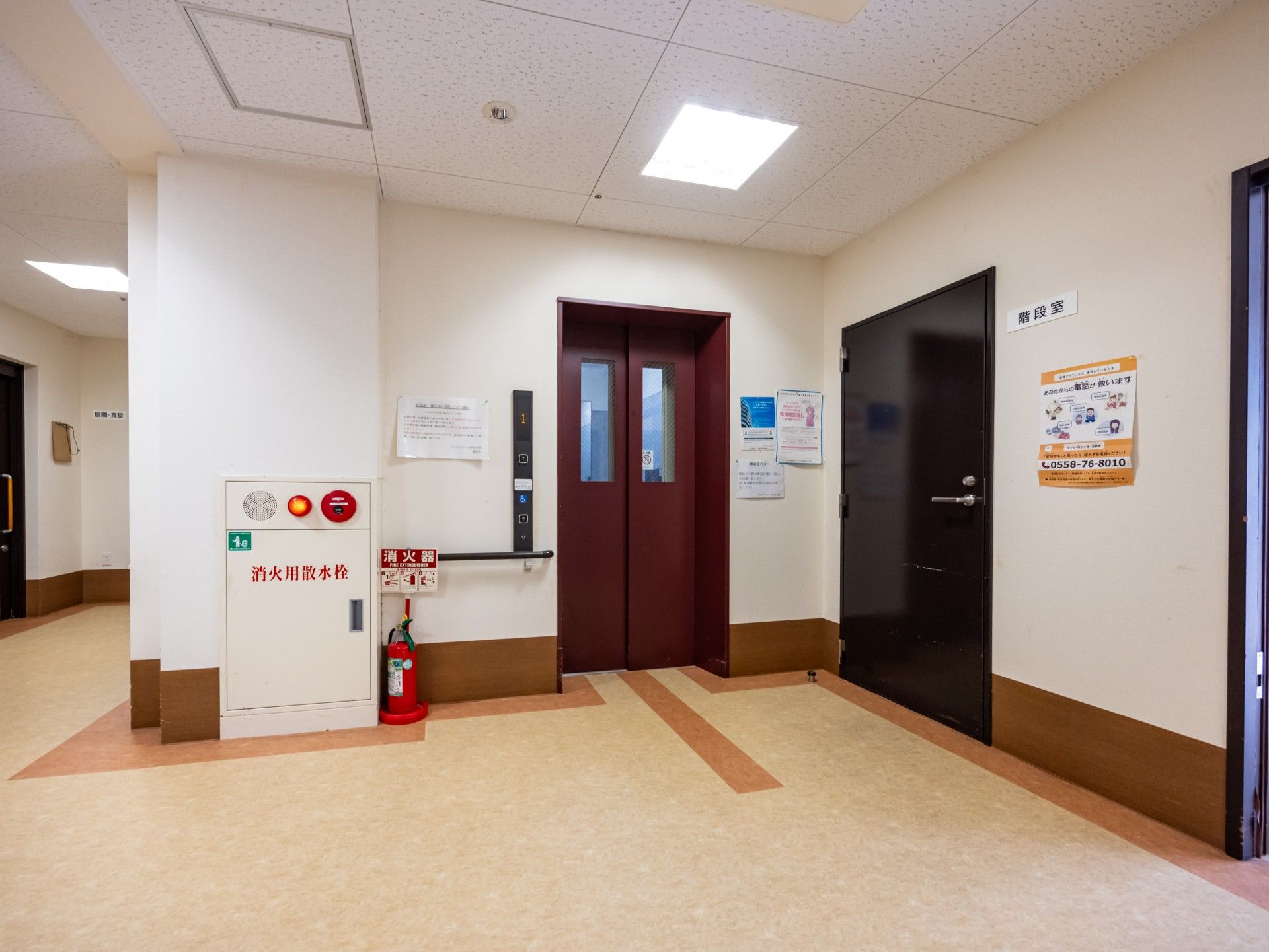 清潔な廊下とエレベーター
