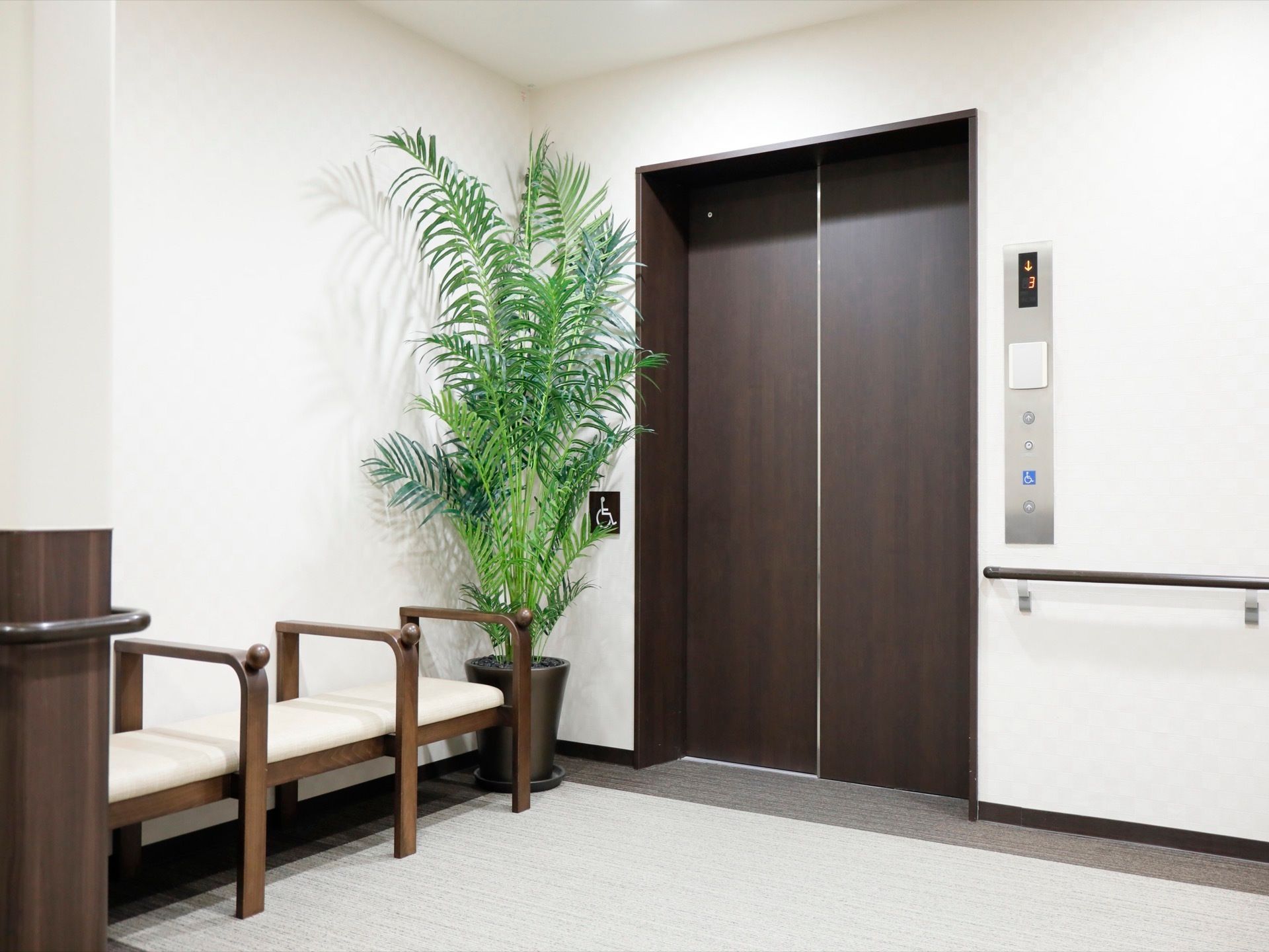 シックなブラウンのエレベーターが1基設置されている。エレベーター前には椅子が備わっており、観葉植物が置かれている。