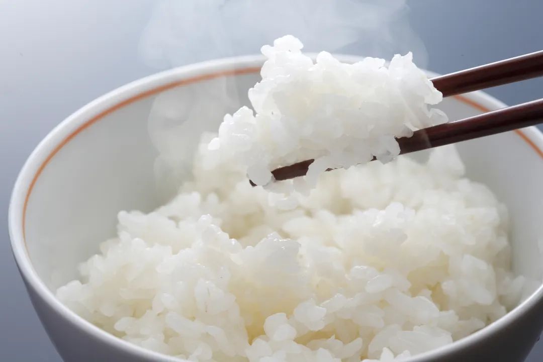 炊き込みご飯や吸い物、ほうれん草のおひたしやフルーツポンチのセット