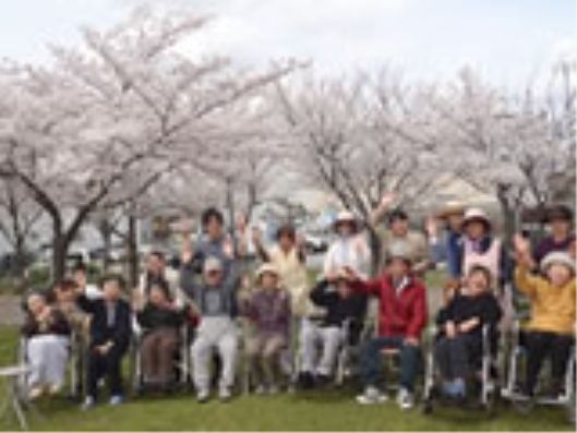 お花見