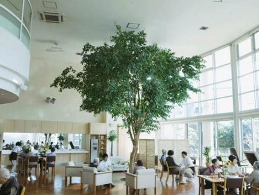 ベンジャミン広場