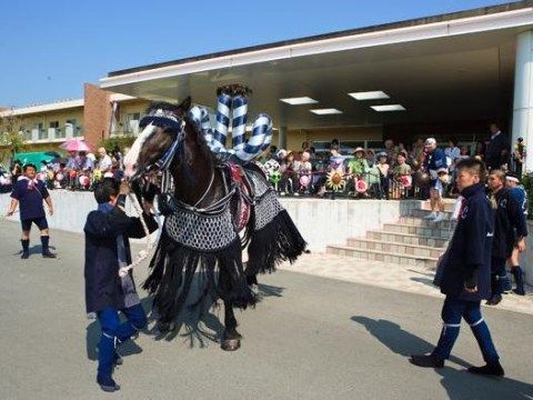 ホスピタルメント桜十字の外出イベント。定期的にスタッフと一緒に外出をお楽しみいただける外出イベントがございます。