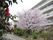 施設入口前には車道と広い庭が整備されている。庭には芝生が敷かれ、季節の花々が咲いている。桜の木も立っている。